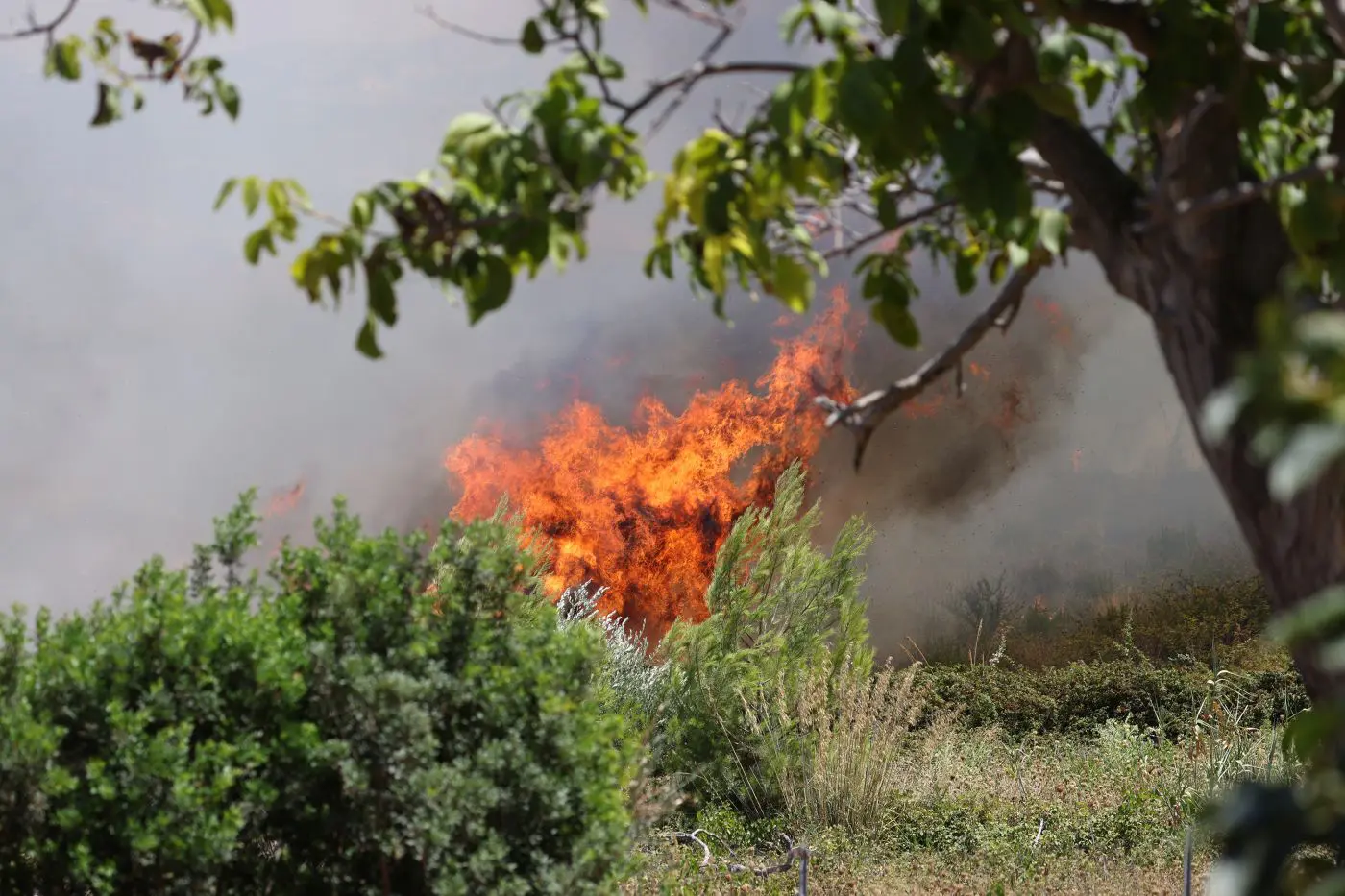 Sicilia, incendi. L’Assessora Savarino: “Il 98% parte dalla mano dell’uomo”