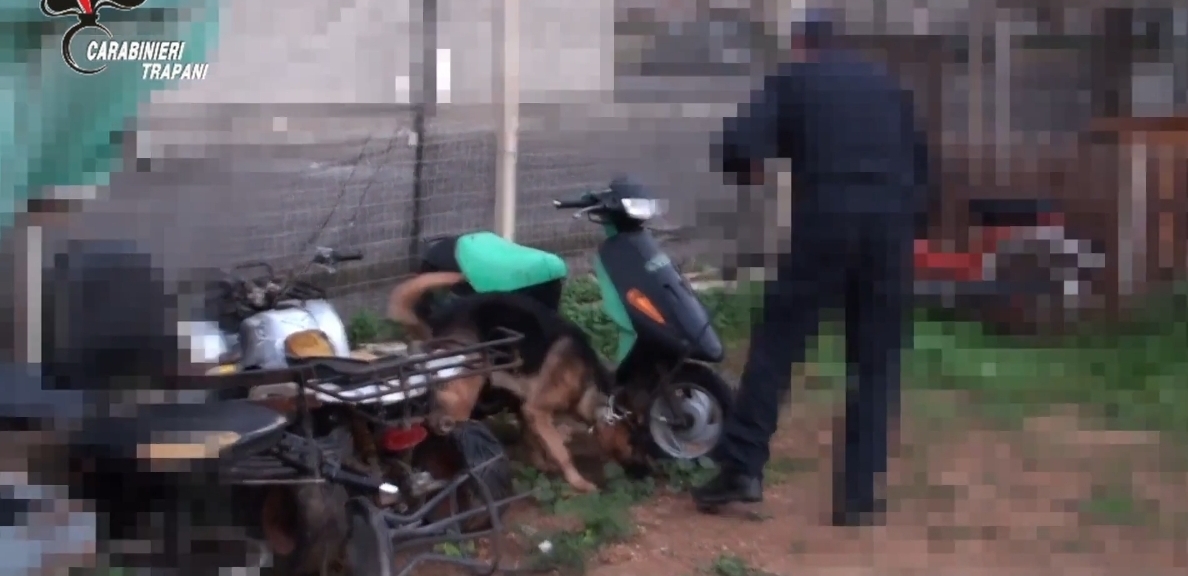 Operazione antimafia nel Trapanese, 12 arresti e 16 indagati