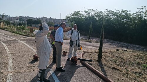 Caltanissetta. Avviata dal Comune la scerbatura di tutta l’area del Parco Urbano “Rosario Assunto”