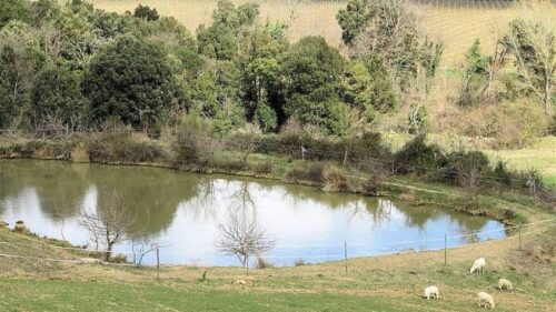 Santa Caterina. Sostegno alle aziende agricole: c’è un nuovo avviso pubblico per realizzare laghetti e mini dissalatori