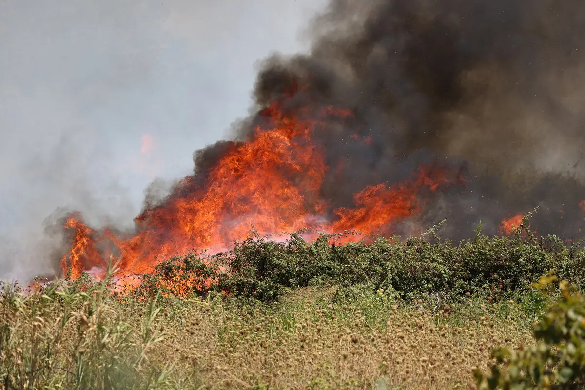Sicilia. Incendi, al via segnalazioni delle imprese agricole danneggiate dai roghi tra agosto e settembre