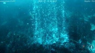Scoperti un cratere di 100 metri e nuovi camini idrotermali a Panarea