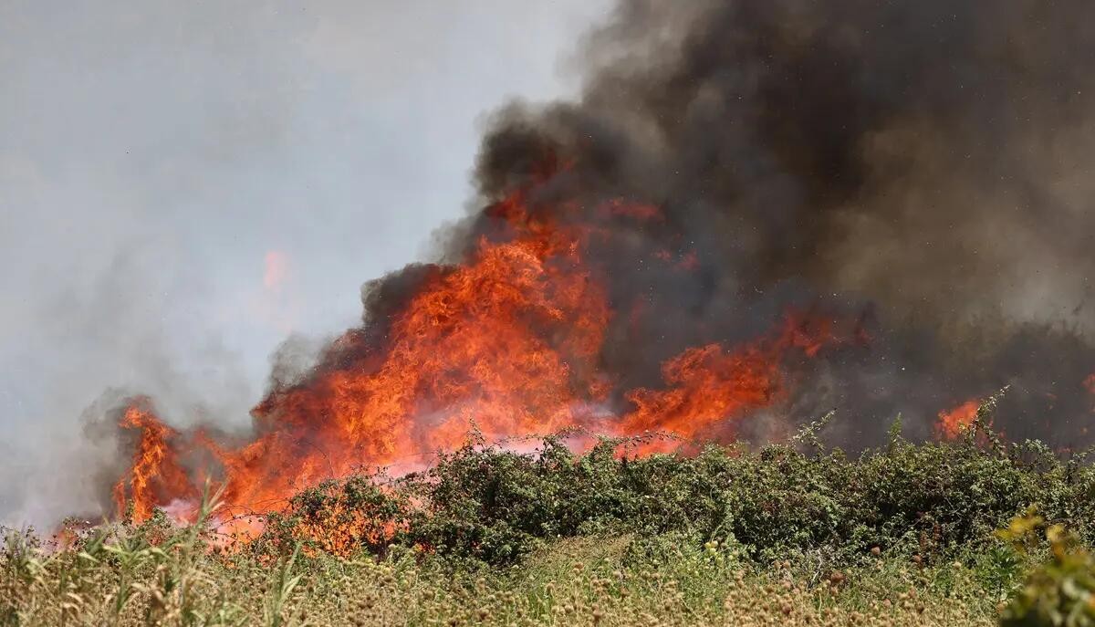 Santa Caterina. Le aziende che hanno subito danni a causa degli incendi possono presentare istanza alla Regione