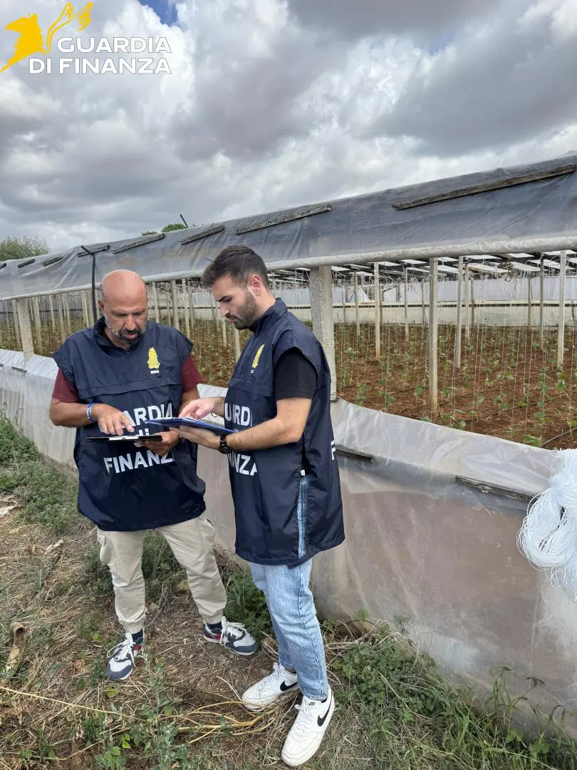 Lavoro in nero nei campi del Trapanese, scoperti 19 irregolari in tre aziende agricole