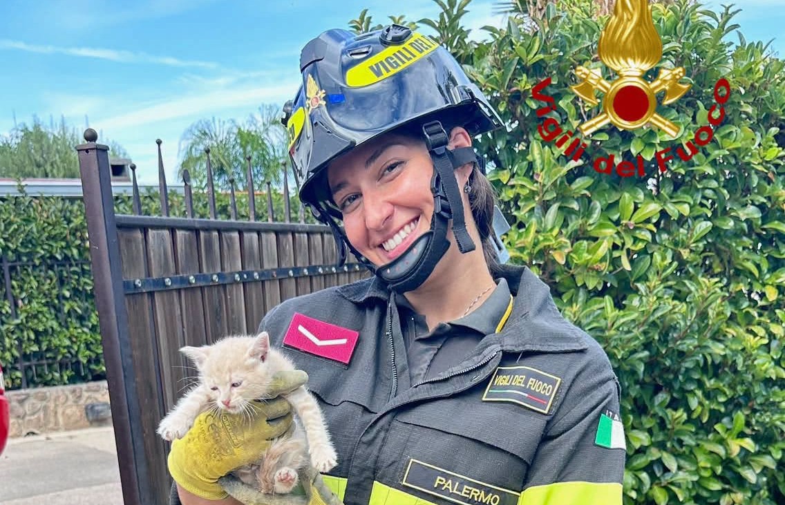 Vigili del Fuoco salvano un gattino che era rimasto incastrato all’interno di un pluviale