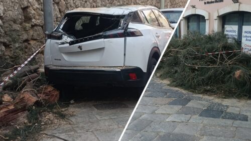 Caltanissetta, cade albero in via Elena: nessun ferito, un’auto danneggiata