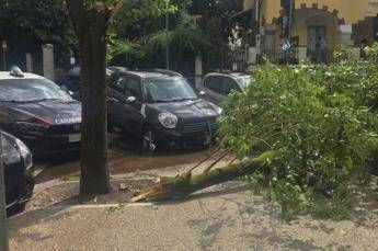 Maltempo a Roma, ramo cade fuori liceo a Coppedè: feriti 3 studenti