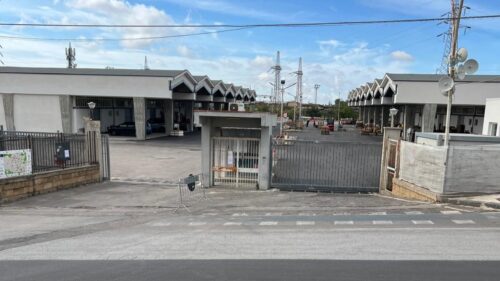 Caltanissetta. Mercato ortofrutticolo: chiusure straordinarie nei giorni di lunedì 28 e martedì 29 settembre