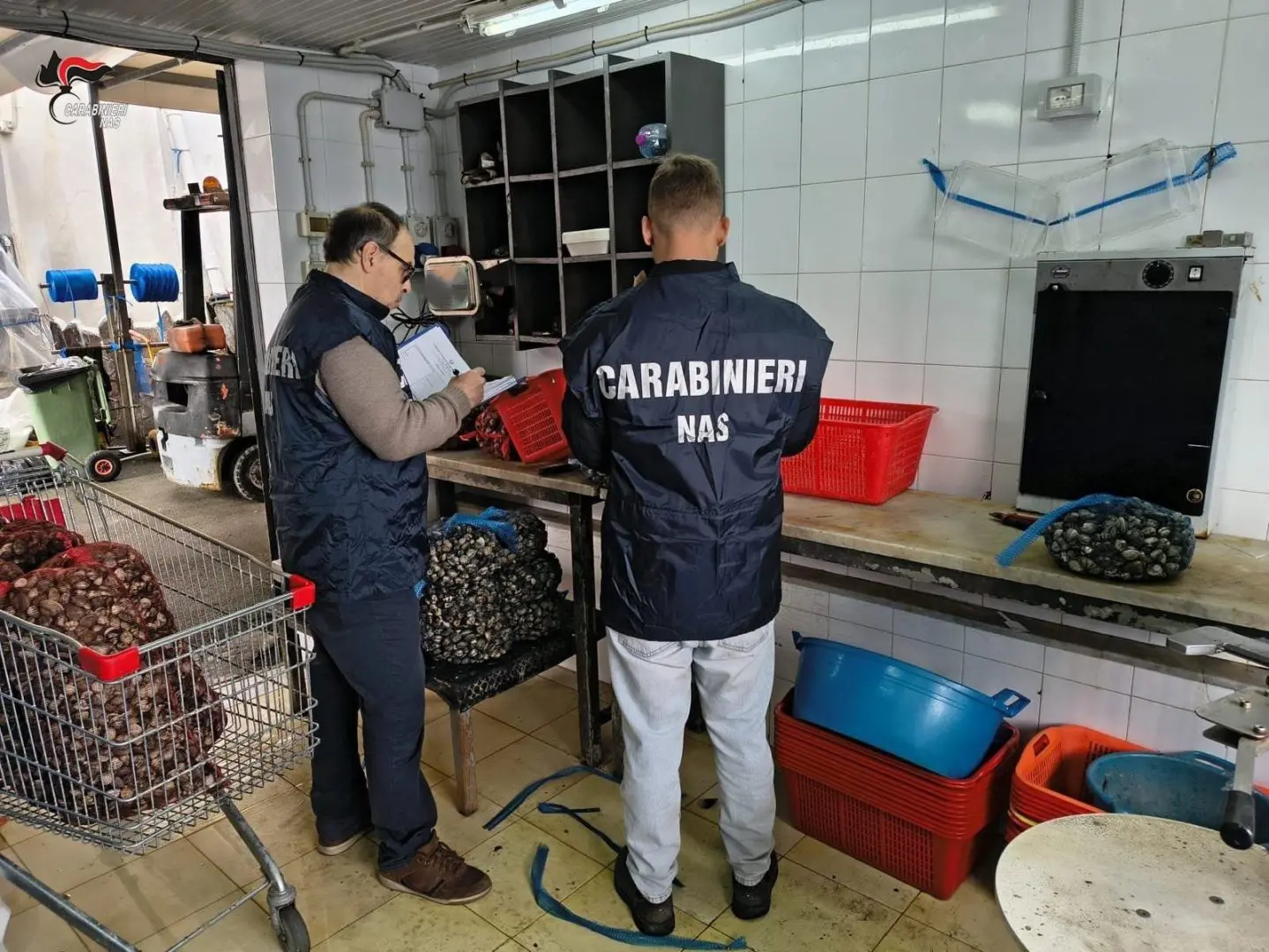 Controlli dei NAS a Palermo, chiuse tre pescherie e sanzioni per 34 mila euro