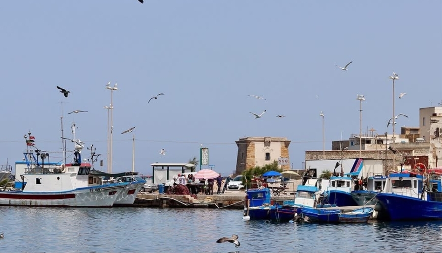 GAL Pesca Trapanese: sviluppo locale e coordinamento: il 23 settembre a<div>Trapani l’incontro territoriale dei GALPA siciliani</div>