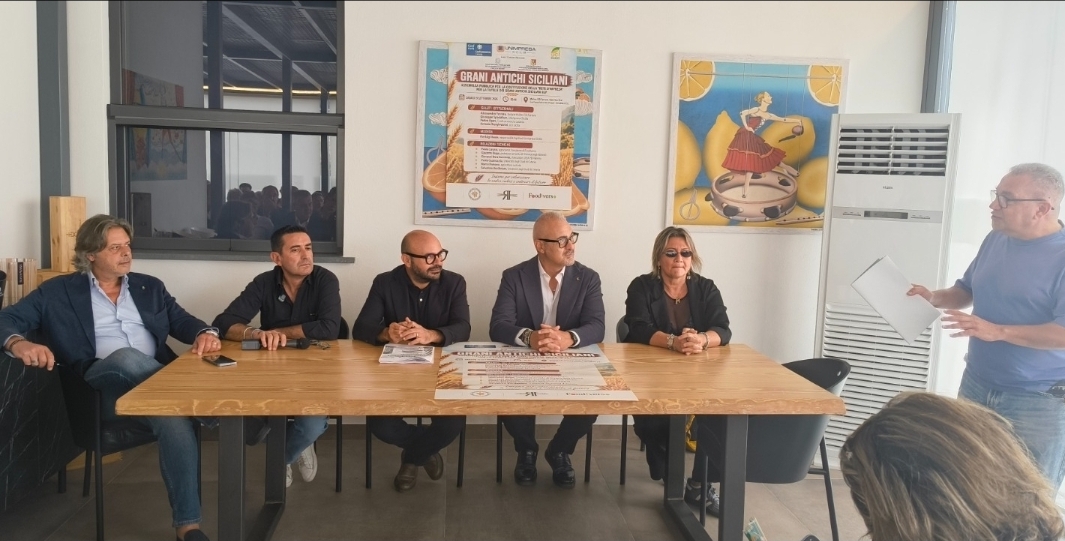 Grani Antichi Siciliani, nasce la Rete per l’IGP