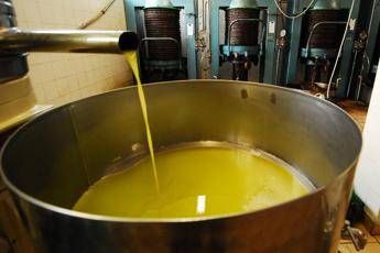 Unifol: “Per movimenti dell’olio sfuso﻿ sì alla bolla elettronica “