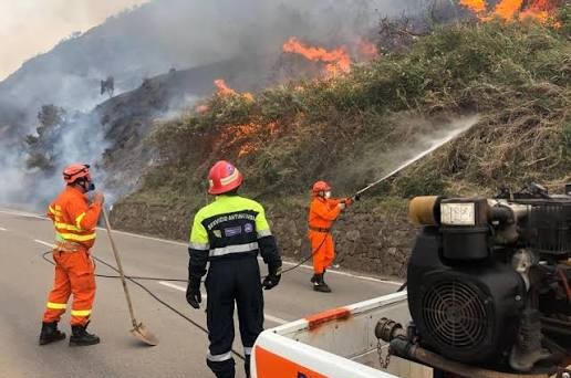 Emergenza incendi in Sicilia. Tanasi (Codacons): “Ricompense fino a 50 mila euro per chi fornisce informazioni per identificare gli incendiari”