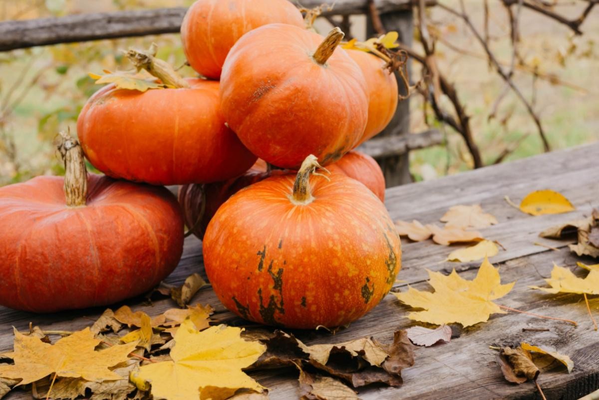 San Cataldo. Il 18 settembre l’Estate sancataldese chiude in bellezza con la 7^ Sagra della Zucca
